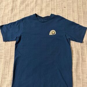 Patagonia Blue Tee with Gold Graphic